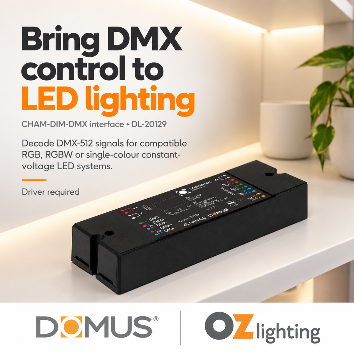 Domus CHAM-DIM-DMX Master LED Universal 4 Channel - RGB/RGBW and Single Colour DMX Interface - DRIVER REQUIRED-Domus Lighting-Ozlighting.com.au