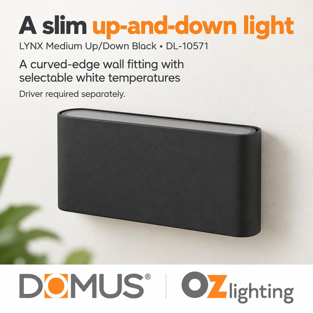Domus LYNX LED Up/Down Wall Light - 2x5W, 24V - DRIVER REQUIRED-Domus Lighting-Ozlighting.com.au