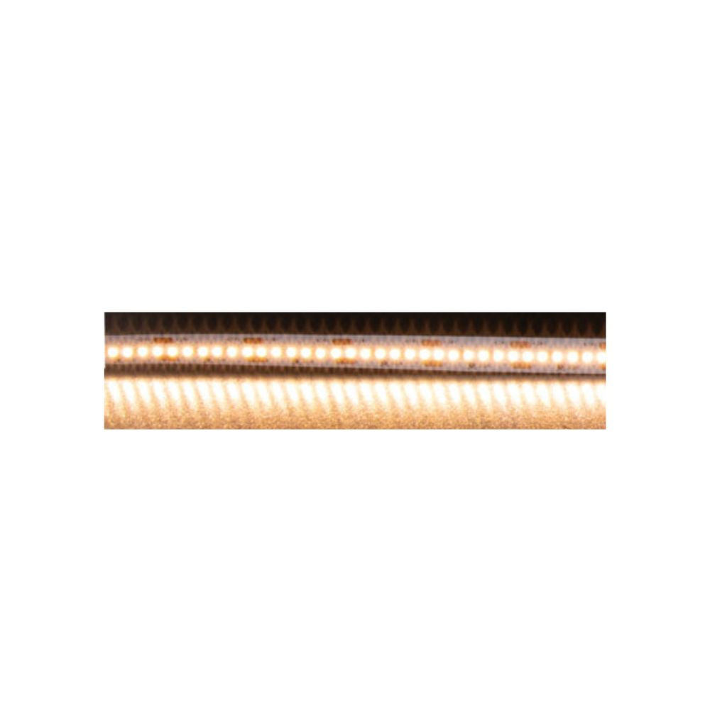 Domus PLEX-19.2-5M - 19.2W LED 60LED P/M Striplight IP20 24V 5M Roll Pack - DRIVER REQUIRED-Domus Lighting-Ozlighting.com.au