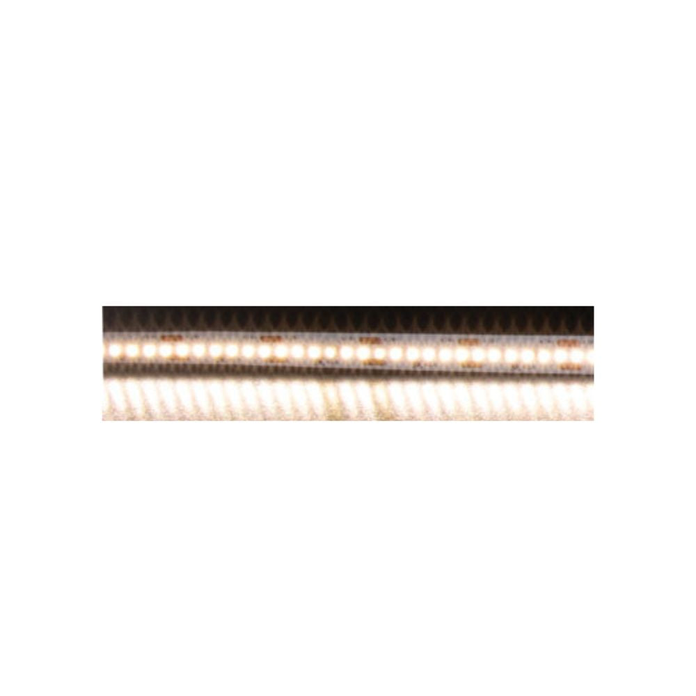 Domus PLEX-19.2-5M - 19.2W LED 60LED P/M Striplight IP20 24V 5M Roll Pack - DRIVER REQUIRED-Domus Lighting-Ozlighting.com.au