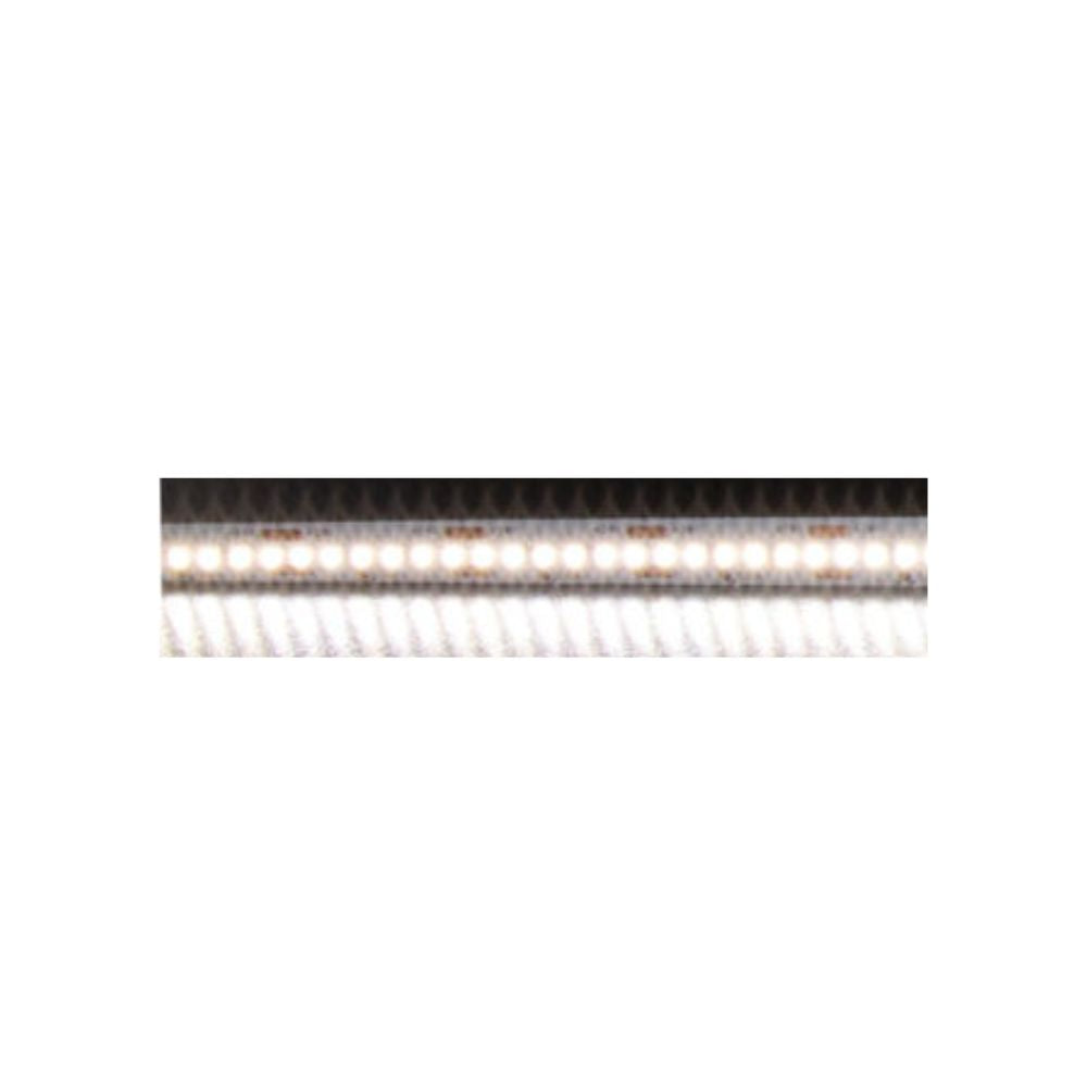 Domus PLEX-19.2-5M - 19.2W LED 60LED P/M Striplight IP20 24V 5M Roll Pack - DRIVER REQUIRED-Domus Lighting-Ozlighting.com.au