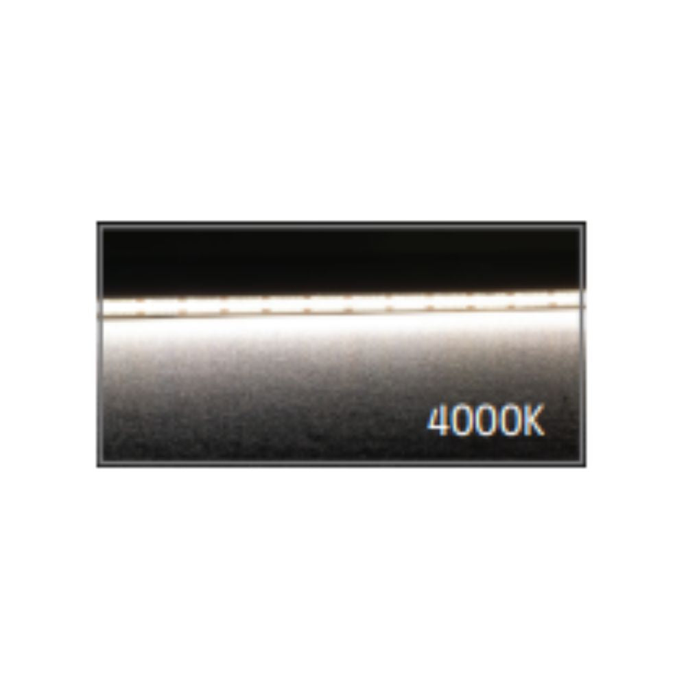 Domus PLEX-COB-10-IP67 - LED Per Metre 640LED True Dotless Striplight IP67 24V - DRIVER REQUIRED-Domus Lighting-Ozlighting.com.au