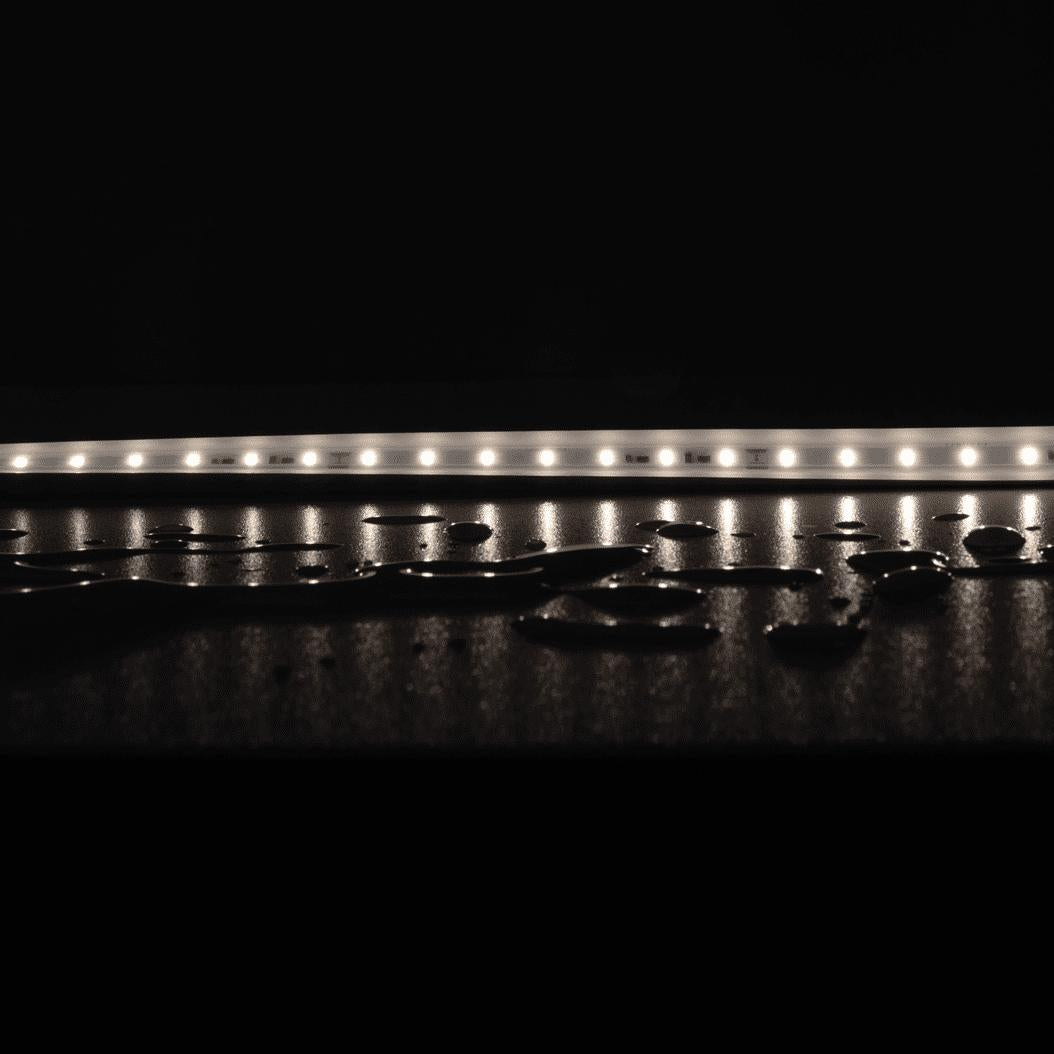 Domus PLEX LED Strip 5W/m - Long Run-Domus Lighting-Ozlighting.com.au