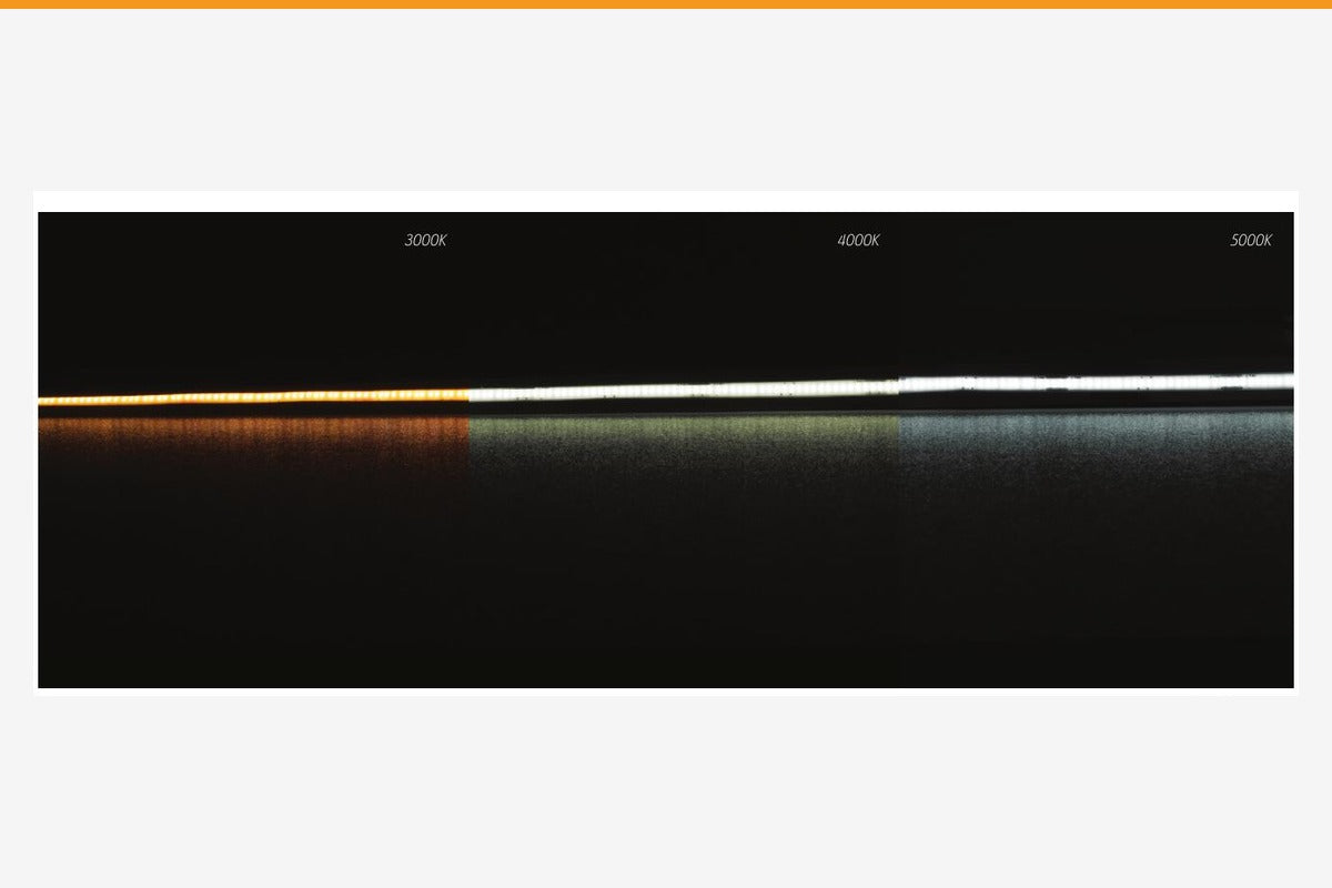 Domus PLEX LED Strip 8W/m - 5mm Wide-Domus Lighting-Ozlighting.com.au