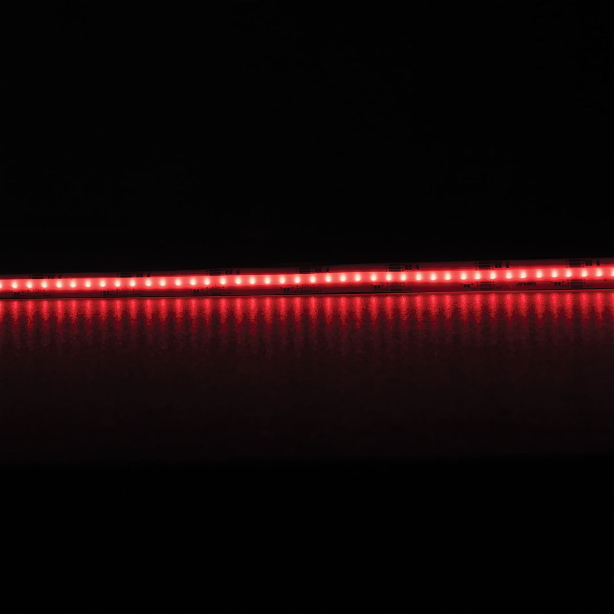 Domus PLEX RGBTW LED Strip 21W/m - RGB & Tunable White-Domus Lighting-Ozlighting.com.au