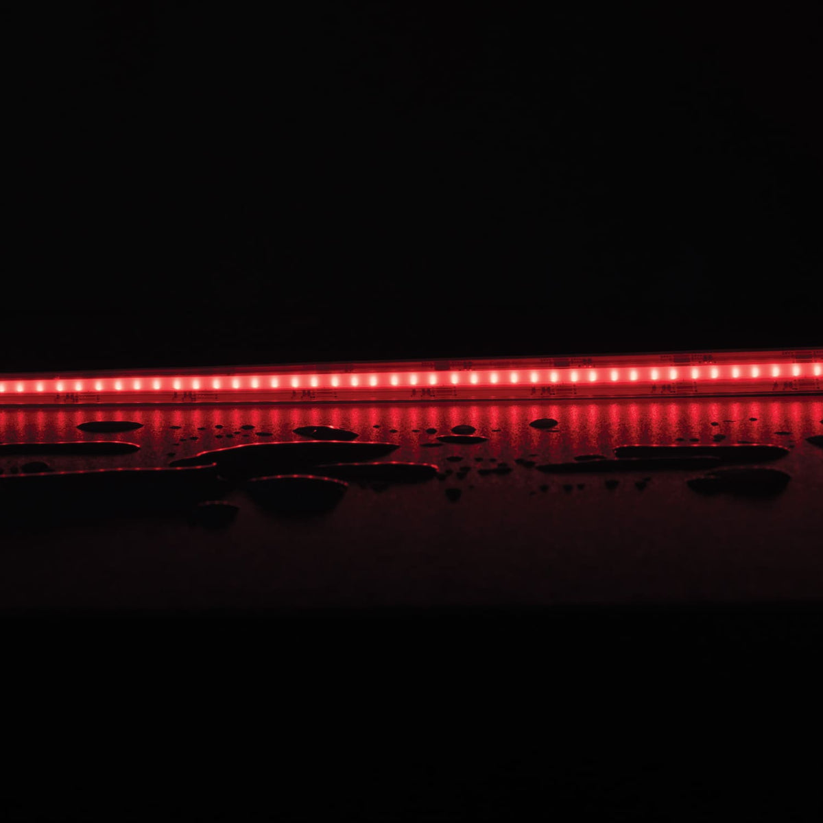 Domus PLEX RGBTW LED Strip 21W/m - RGB & Tunable White-Domus Lighting-Ozlighting.com.au