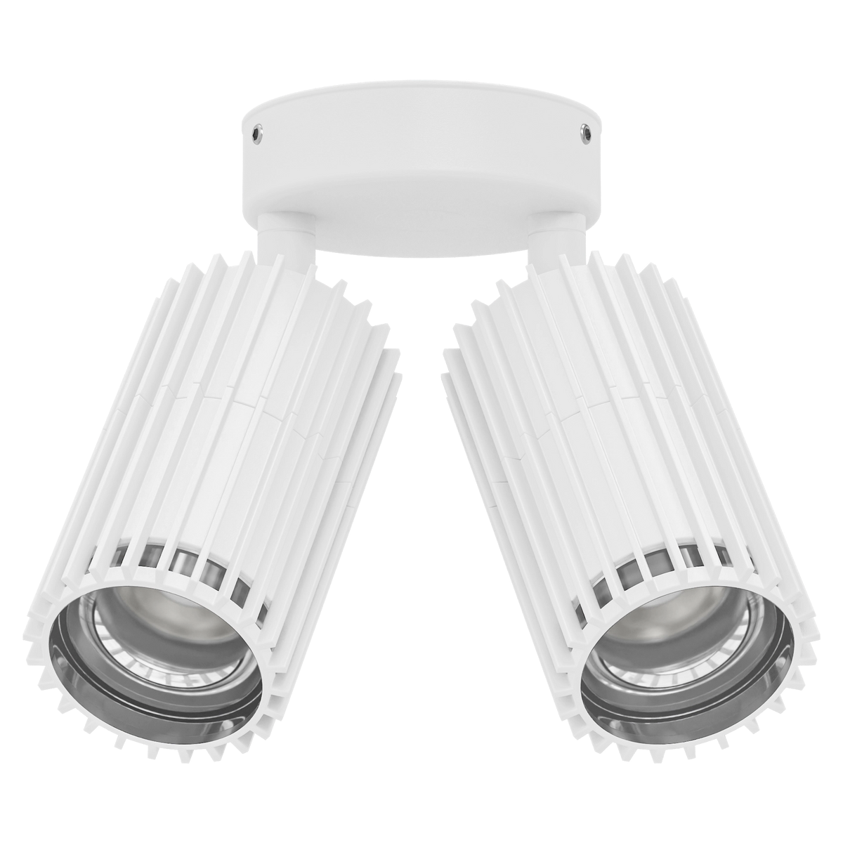 Domus STRIA-2 Adjustable Outdoor Wall Light 240V IP65-Domus Lighting-Ozlighting.com.au