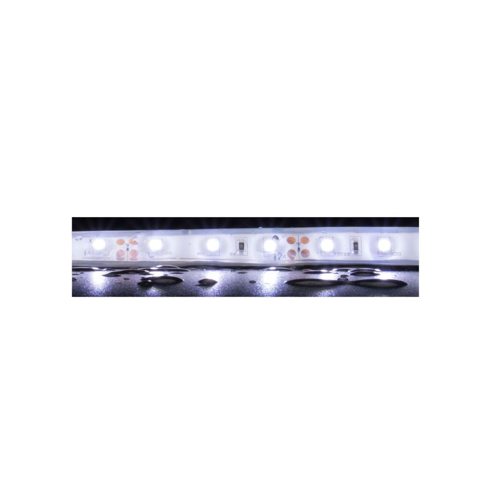 Domus STRIP-60-WP-5M - 4.8W LED 60LED P/M Weatherproof Striplight IP66 12V 5M Roll Pack - DRIVER REQUIRED-Domus Lighting-Ozlighting.com.au