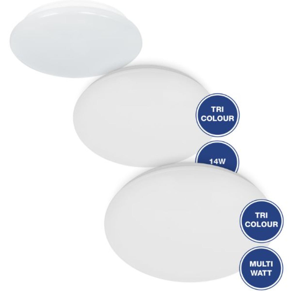 Energetic SANDY - Mini Oyster Wall & Ceiling Light-Energetic Lighting-Ozlighting.com.au