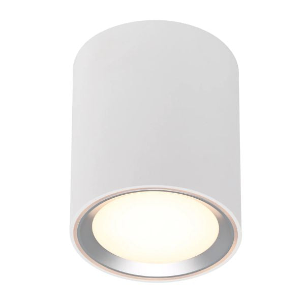 Nordlux FALLON - Cylindrical Long Surface Indoor Metal Downlight-Nordlux-Ozlighting.com.au