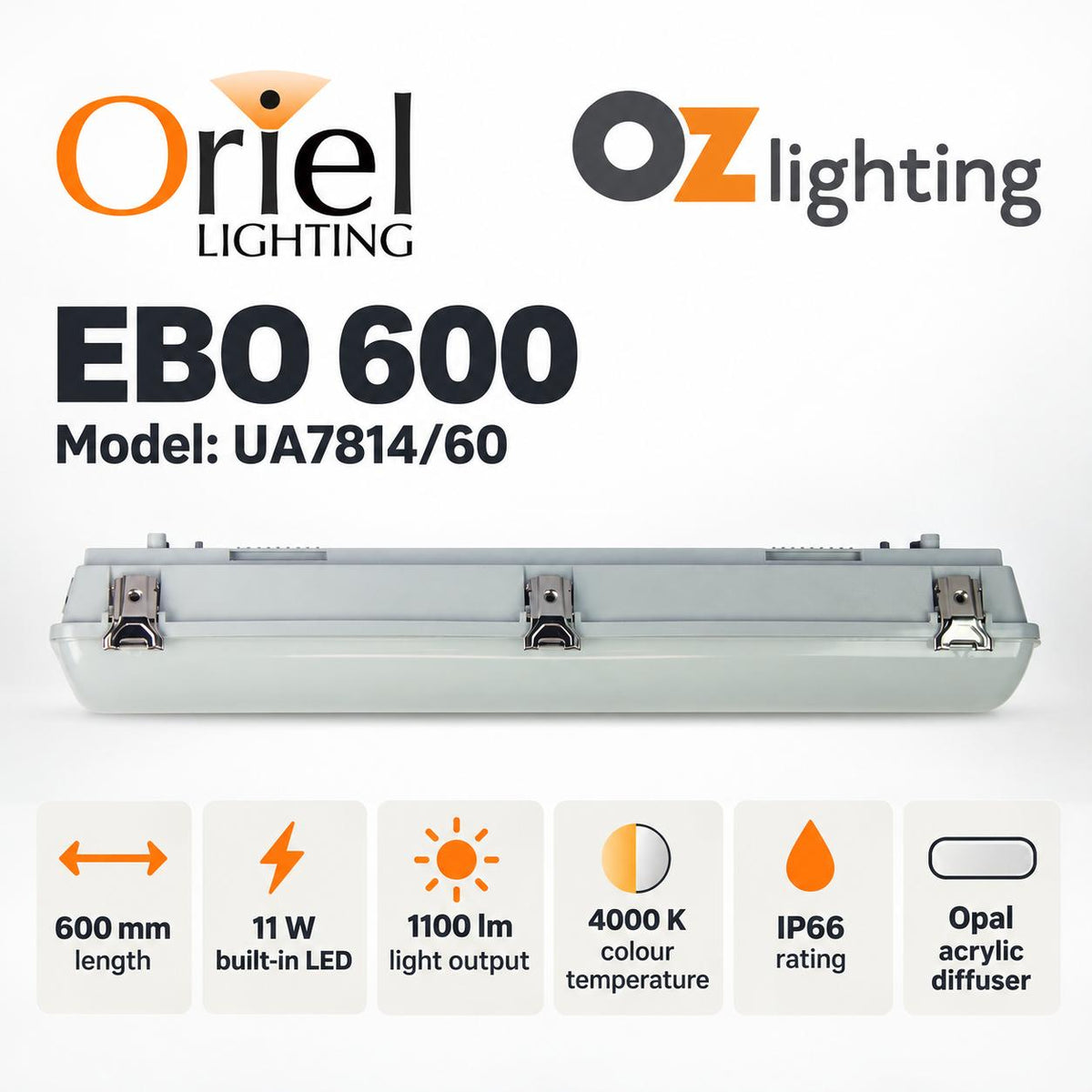 Oriel EBO Outdoor LED Batten Light - Weatherproof, IP66 4000K-Oriel Lighting-Ozlighting.com.au