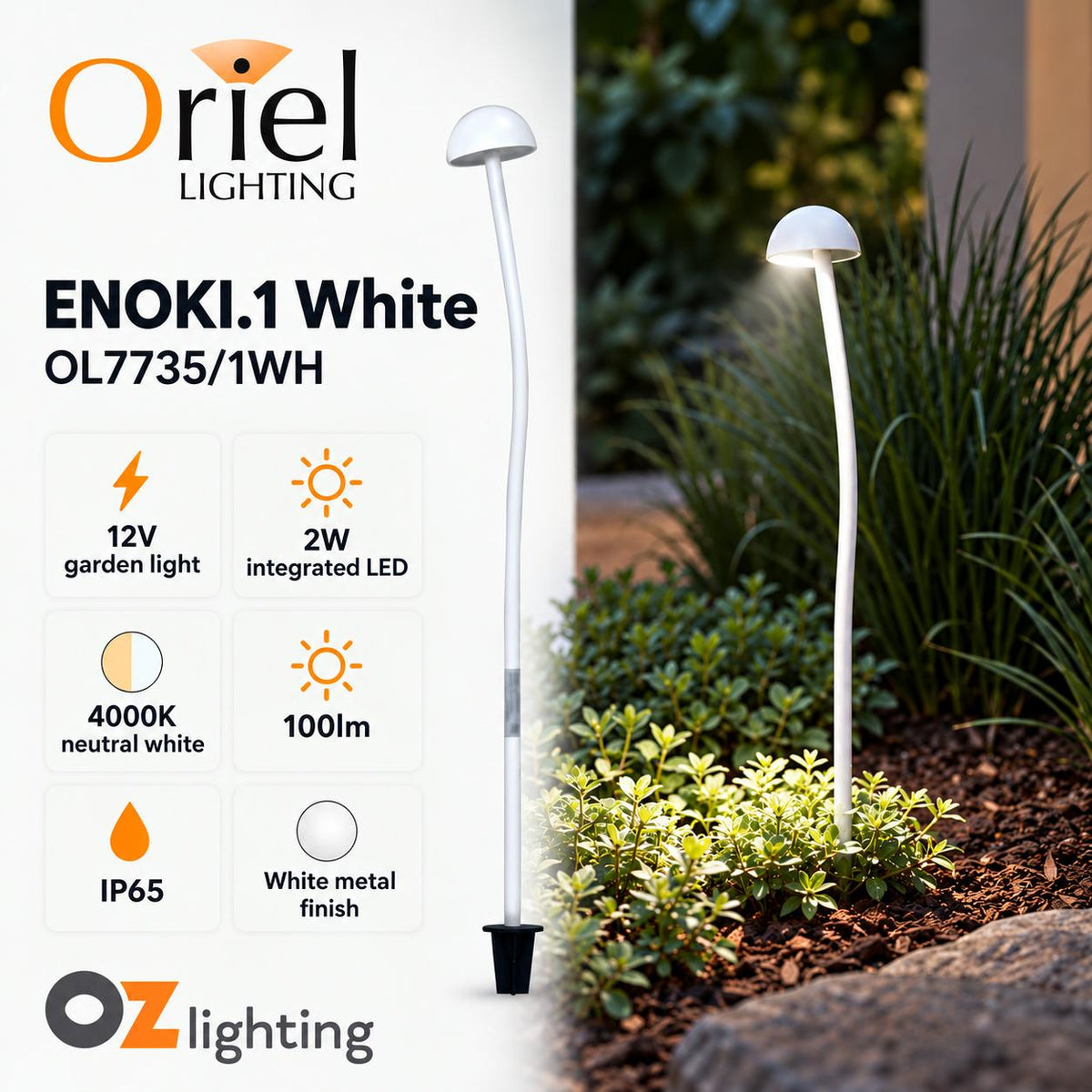 Oriel Lighting ENOKI.1 LED Spike Light - 12V Garden, White - DRIVER REQUIRED-Oriel Lighting-Ozlighting.com.au