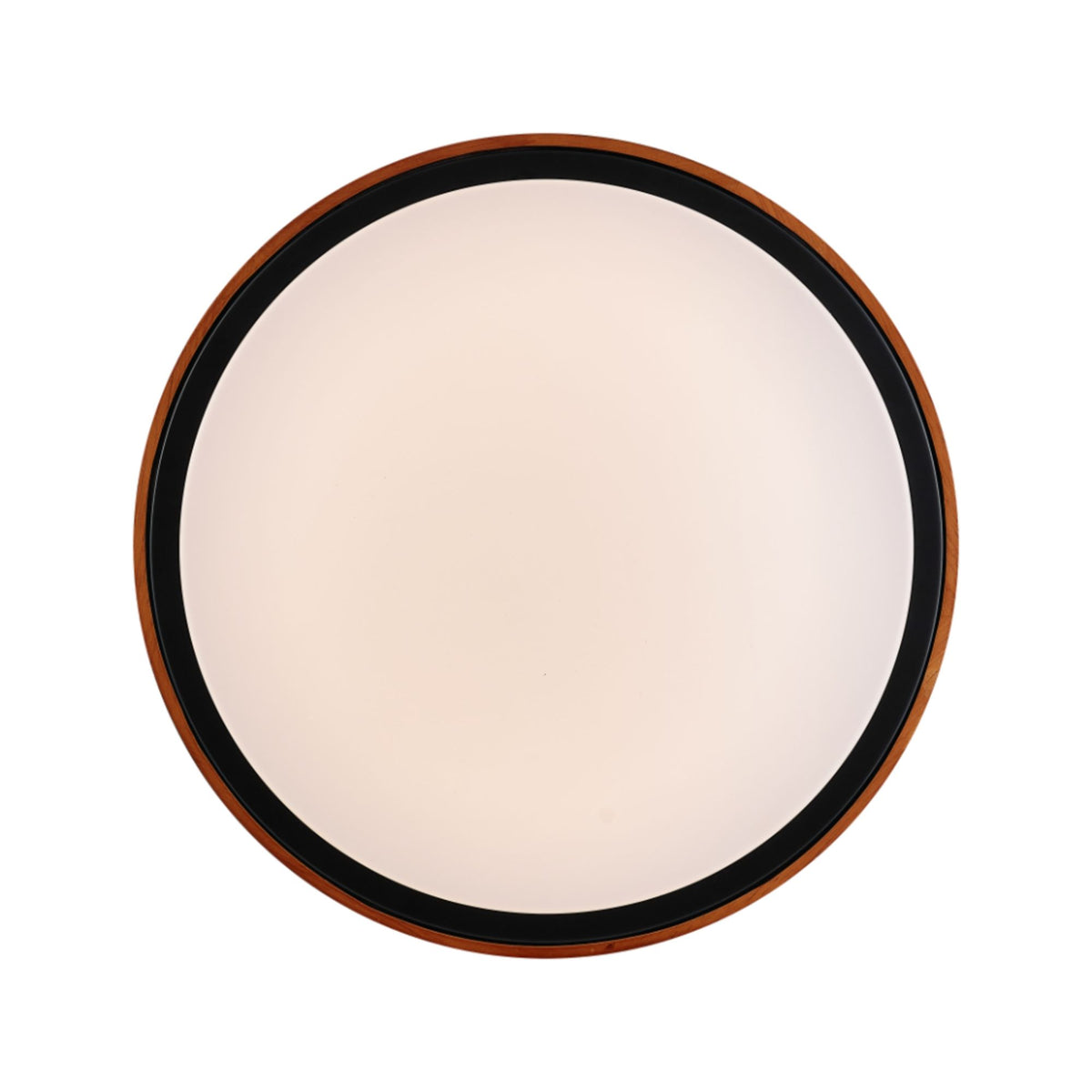 Telbix ORLIN LED Oyster Ceiling Light - 12W-Telbix-Ozlighting.com.au