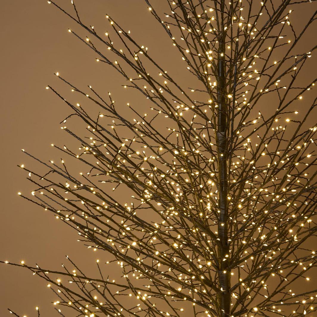 Vixen & Velvet FOREST Light-Up Tree 180cm - Black, 2000 LEDs-VIXEN & VELVET-Ozlighting.com.au