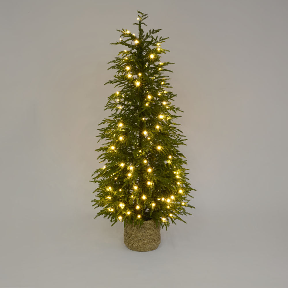Vixen & Velvet Touch Light-Up Tree - Soft- Potted, with Basket 150cm-VIXEN & VELVET-Ozlighting.com.au