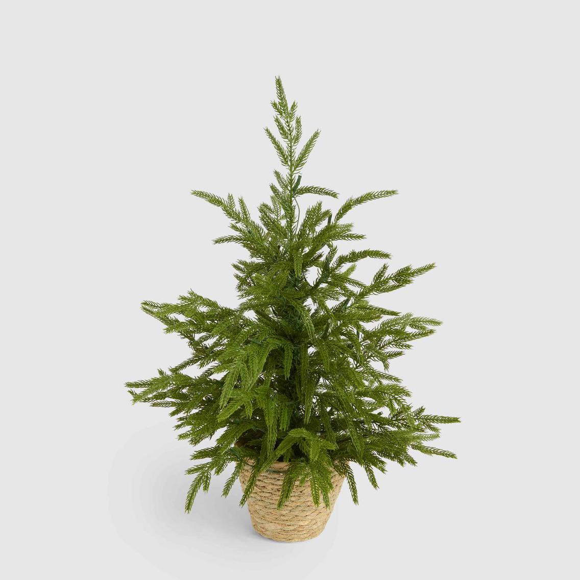 Vixen & Velvet Touch Light-Up Tree - Soft- Potted, with Basket 60cm-VIXEN & VELVET-Ozlighting.com.au