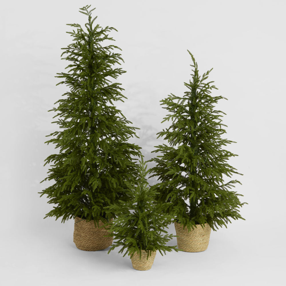 Vixen & Velvet Touch Light-Up Tree - Soft- Potted, with Basket 60cm-VIXEN & VELVET-Ozlighting.com.au