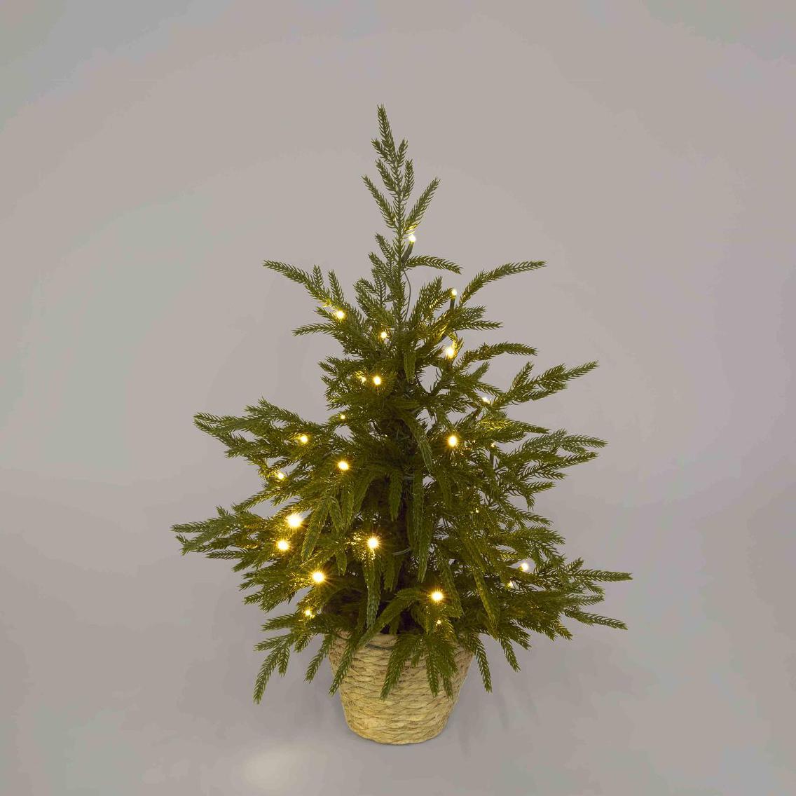 Vixen & Velvet Touch Light-Up Tree - Soft- Potted, with Basket 60cm-VIXEN & VELVET-Ozlighting.com.au