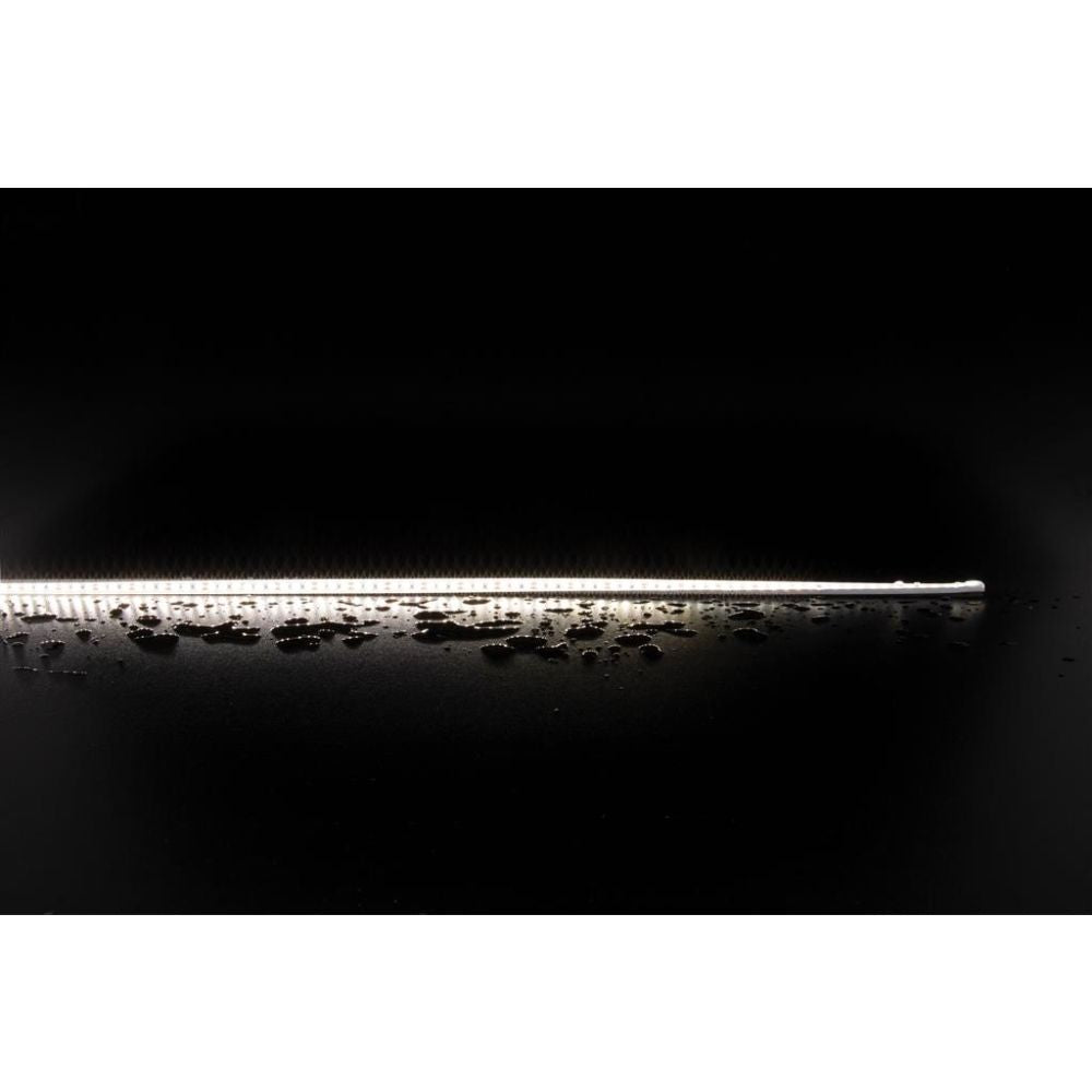 Domus PLEX - 14.4W LED Striplight IP66 12V 5m Roll Pack - DRIVER REQUIRED-Domus Lighting-Ozlighting.com.au