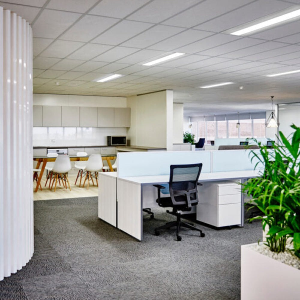 Ektor CURVE LED Panel Light - IP40, 1200mm-Ektor Lighting-Ozlighting.com.au