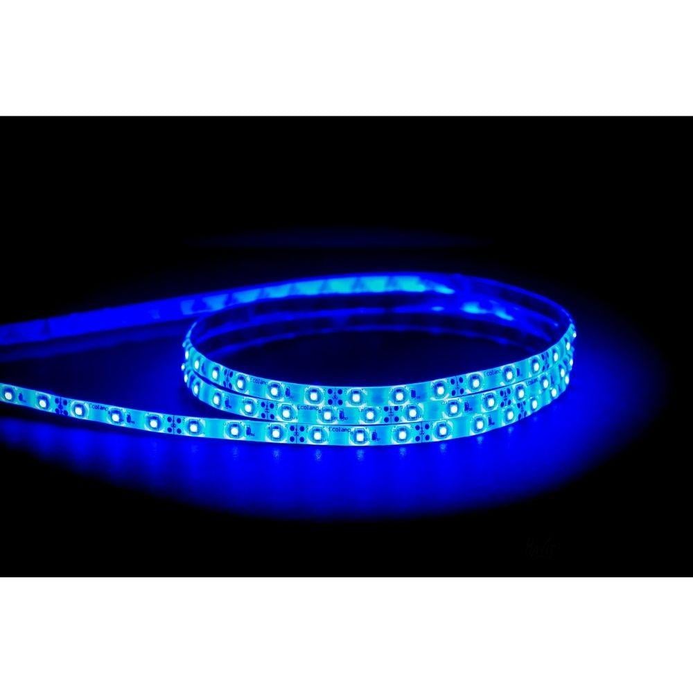 Havit STRIP-4.8-WP-EG-BLUE LED Strip - 4.8W, 12V, 8mm, Per Metre, IP54, Blue - DRIVER REQUIRED-Havit Lighting-Ozlighting.com.au