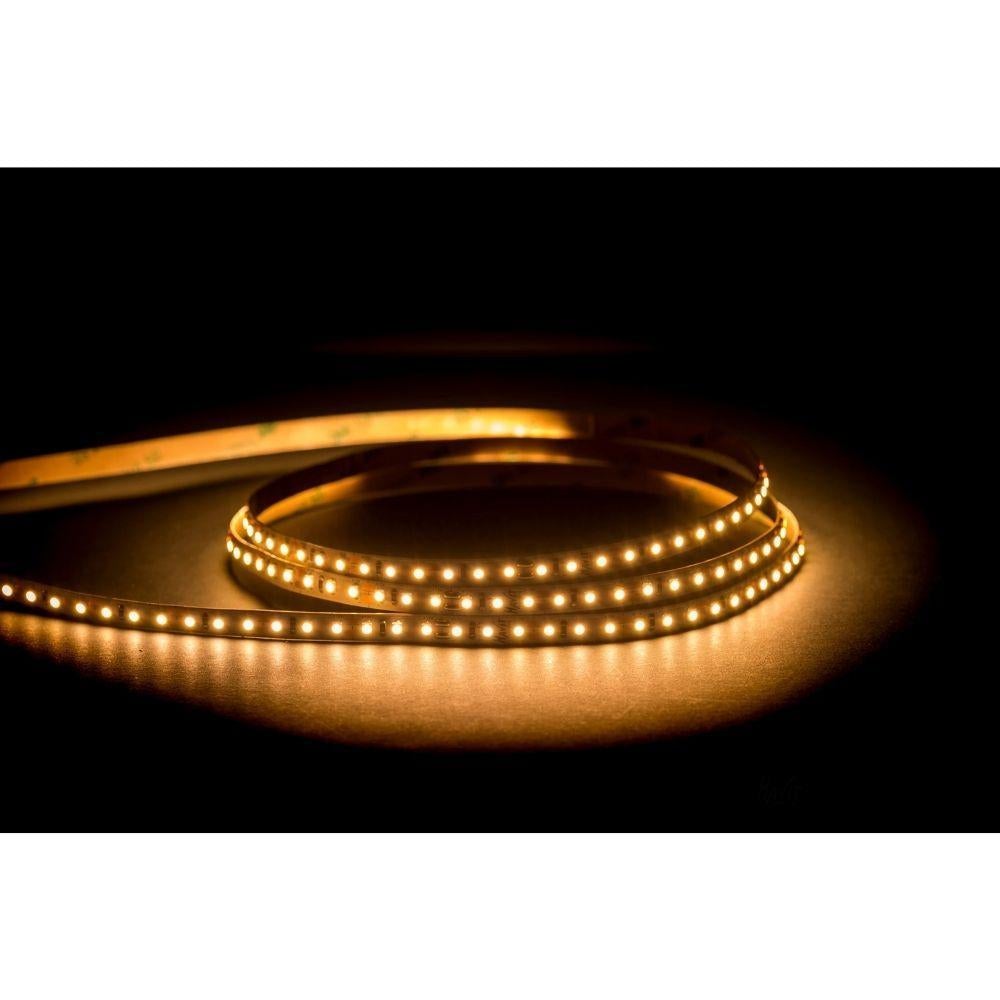 Havit STRIP-9.6-50M - 9.6W 12V 8mm 50M Roll 120 LED Strip Light IP20 - 12V DRIVER REQUIRED-Havit Lighting-Ozlighting.com.au