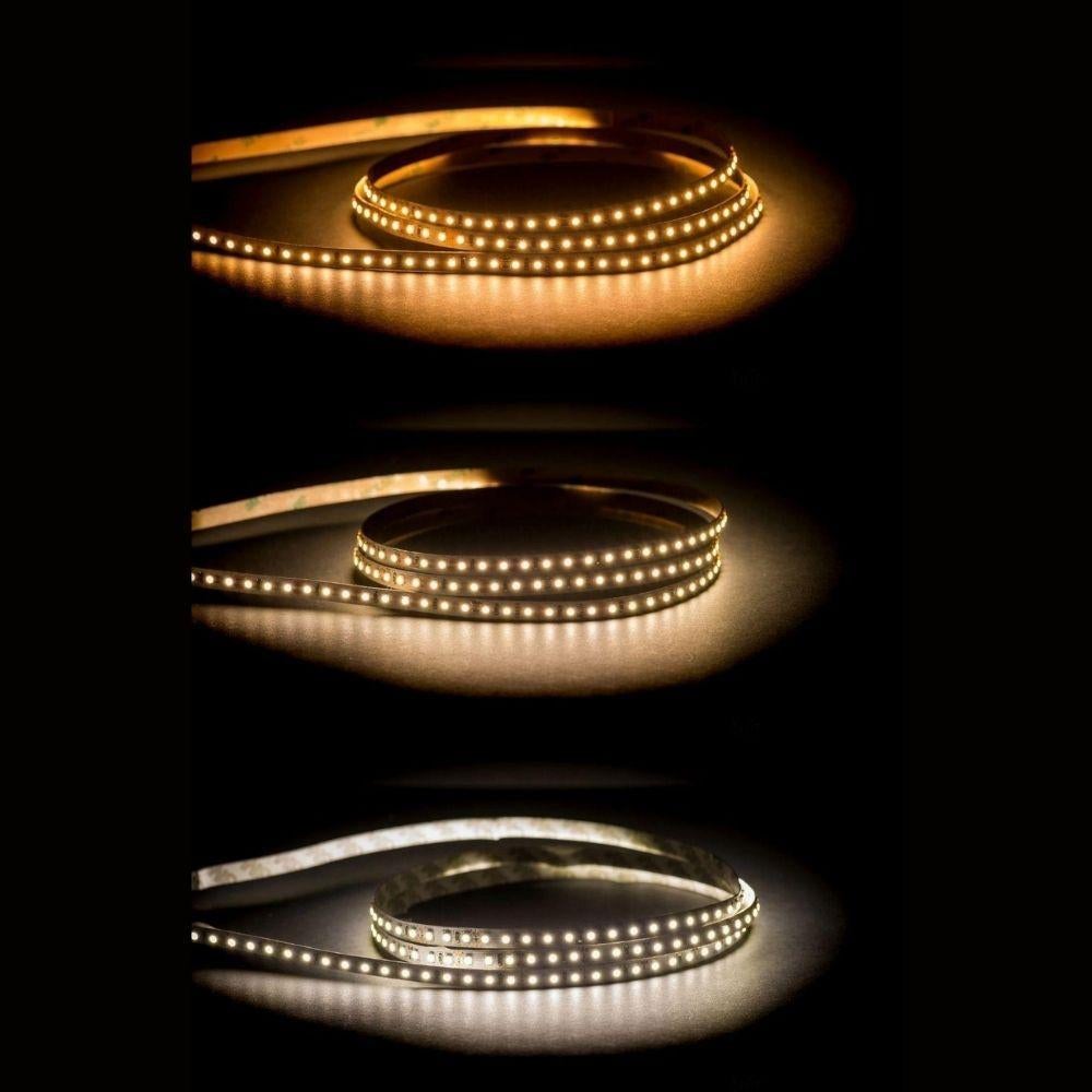 Havit STRIP-9.6-50M - 9.6W 12V 8mm 50M Roll 120 LED Strip Light IP20 - 12V DRIVER REQUIRED-Havit Lighting-Ozlighting.com.au