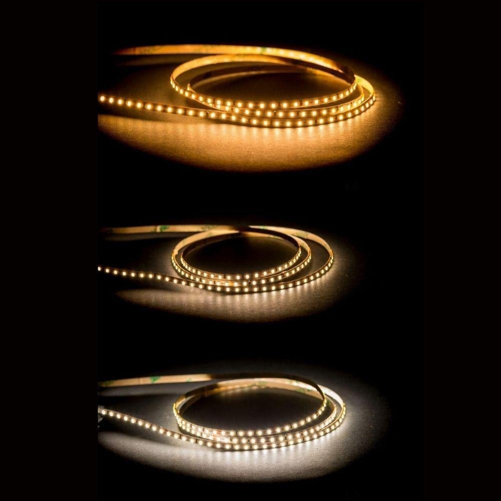 Havit STRIP-9.6-MICRO LED Strip - 9.6W, 24V, 4mm, Per Metre, IP20 - DRIVER REQUIRED-Havit Lighting-Ozlighting.com.au