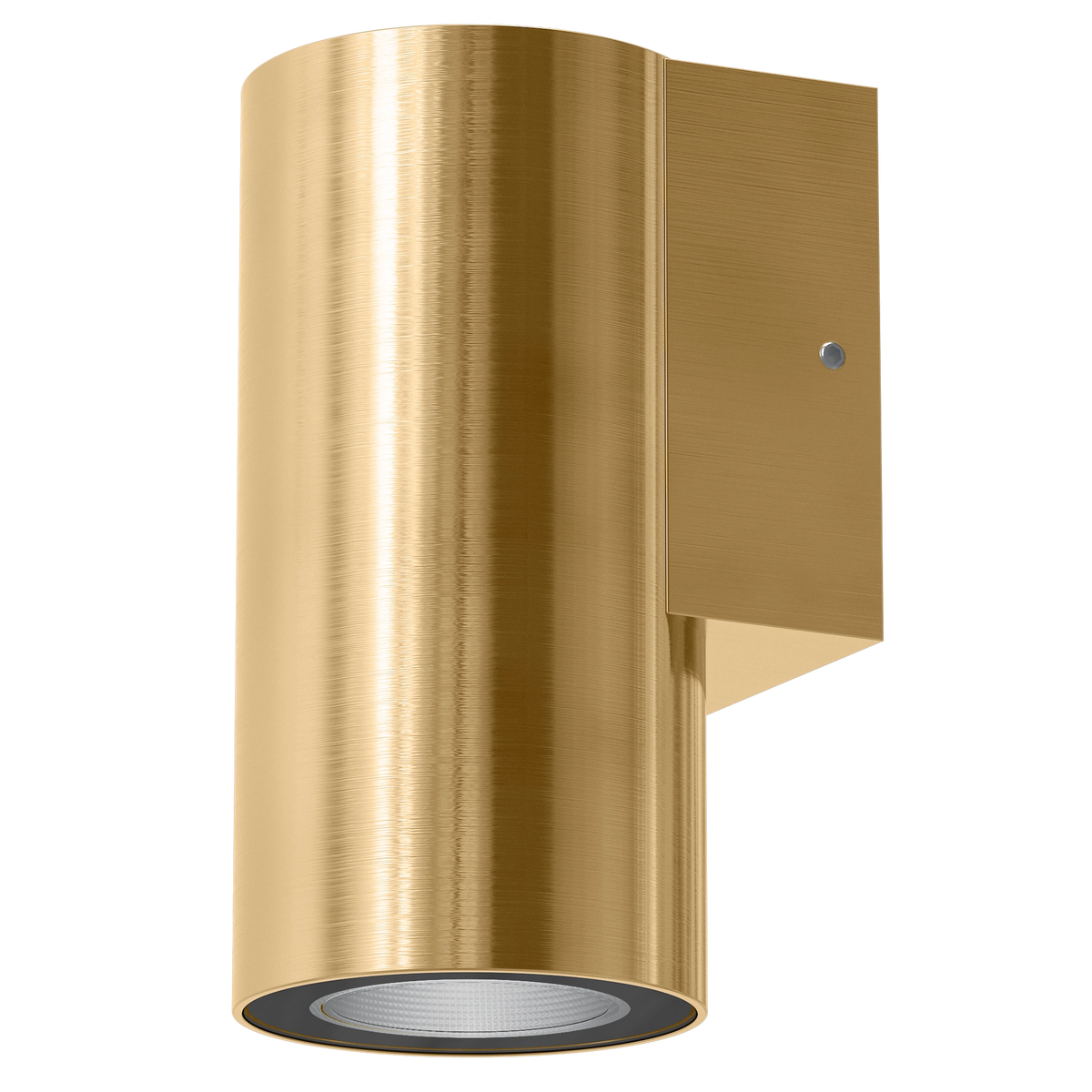 Domus ALIRA-1 Down Wall Light 240V IP65-Domus Lighting-Ozlighting.com.au