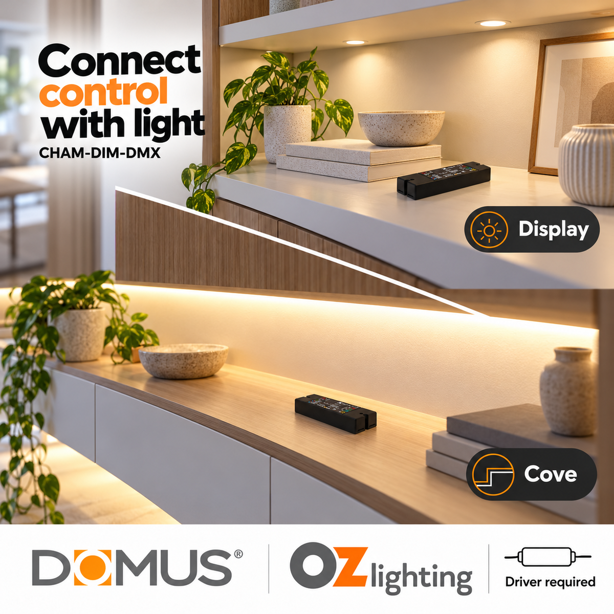 Domus CHAM-DIM-DMX Master LED Universal 4 Channel - RGB/RGBW and Single Colour DMX Interface - DRIVER REQUIRED-Domus Lighting-Ozlighting.com.au