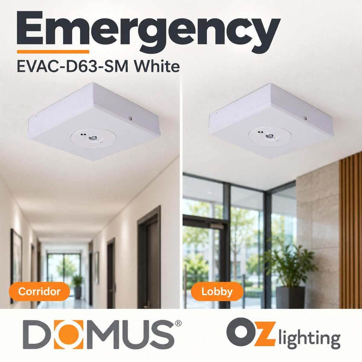 Domus EVAC-D63-SM 3.5W LED D63 Non-maintained Surface Mounted Emergency Light-Domus Lighting-Ozlighting.com.au