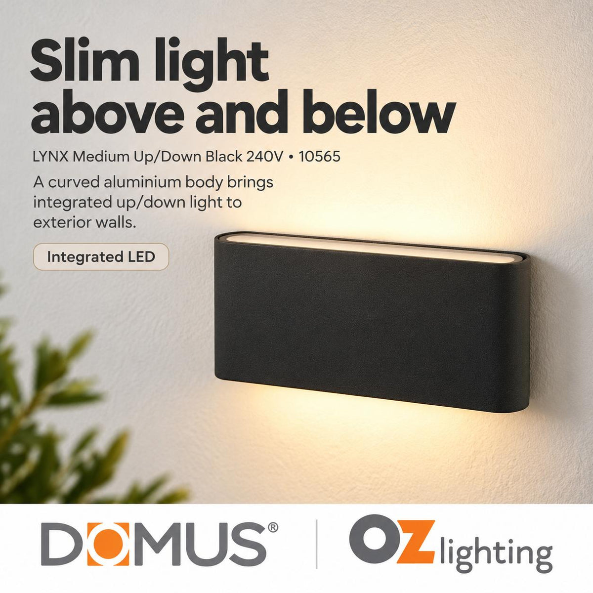 Domus LYNX LED Up/Down Wall Light - 2x5W, 240V-Domus Lighting-Ozlighting.com.au
