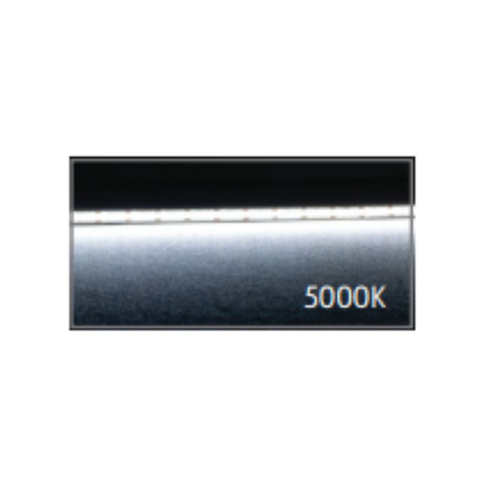 Domus PLEX-COB-10-IP67 - LED Per Metre 640LED True Dotless Striplight IP67 24V - DRIVER REQUIRED-Domus Lighting-Ozlighting.com.au