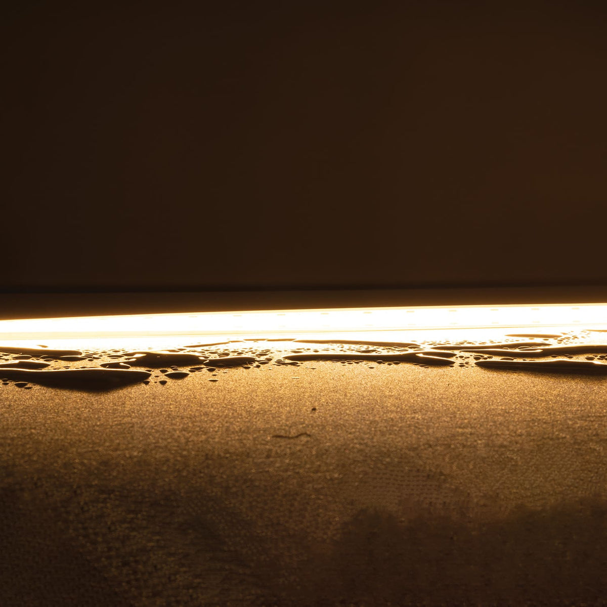 Domus PLEX-COB Dotless LED Strip 20W/m-Domus Lighting-Ozlighting.com.au