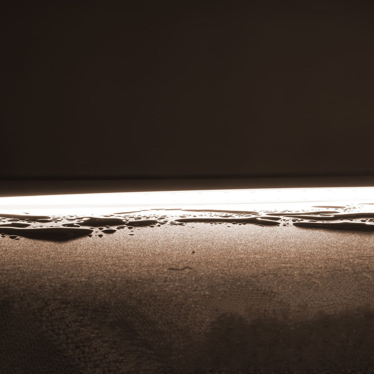 Domus PLEX-COB Dotless LED Strip 20W/m-Domus Lighting-Ozlighting.com.au