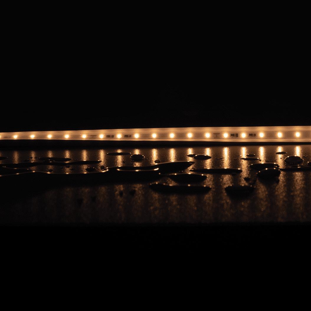 Domus PLEX LED Strip 5W/m - Long Run-Domus Lighting-Ozlighting.com.au