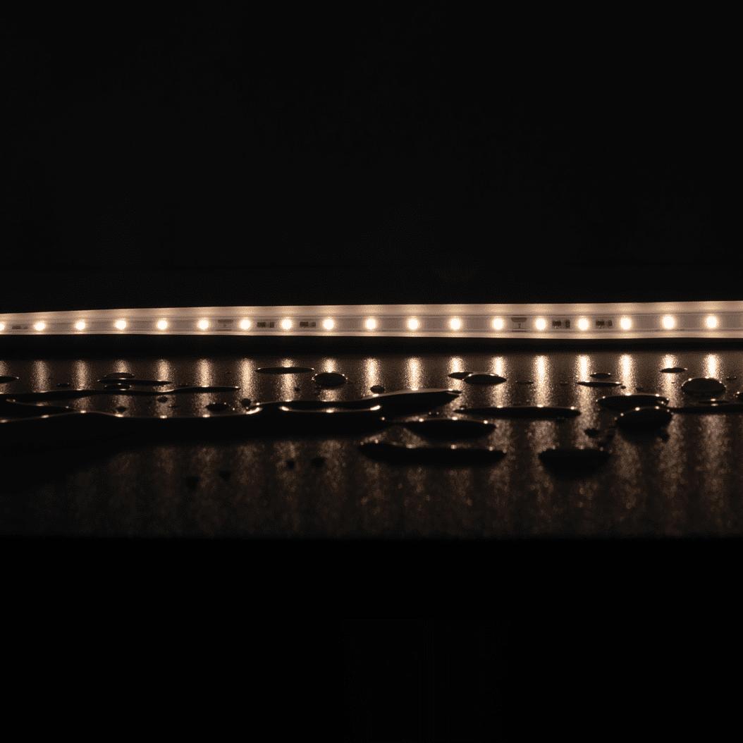 Domus PLEX LED Strip 5W/m - Long Run-Domus Lighting-Ozlighting.com.au