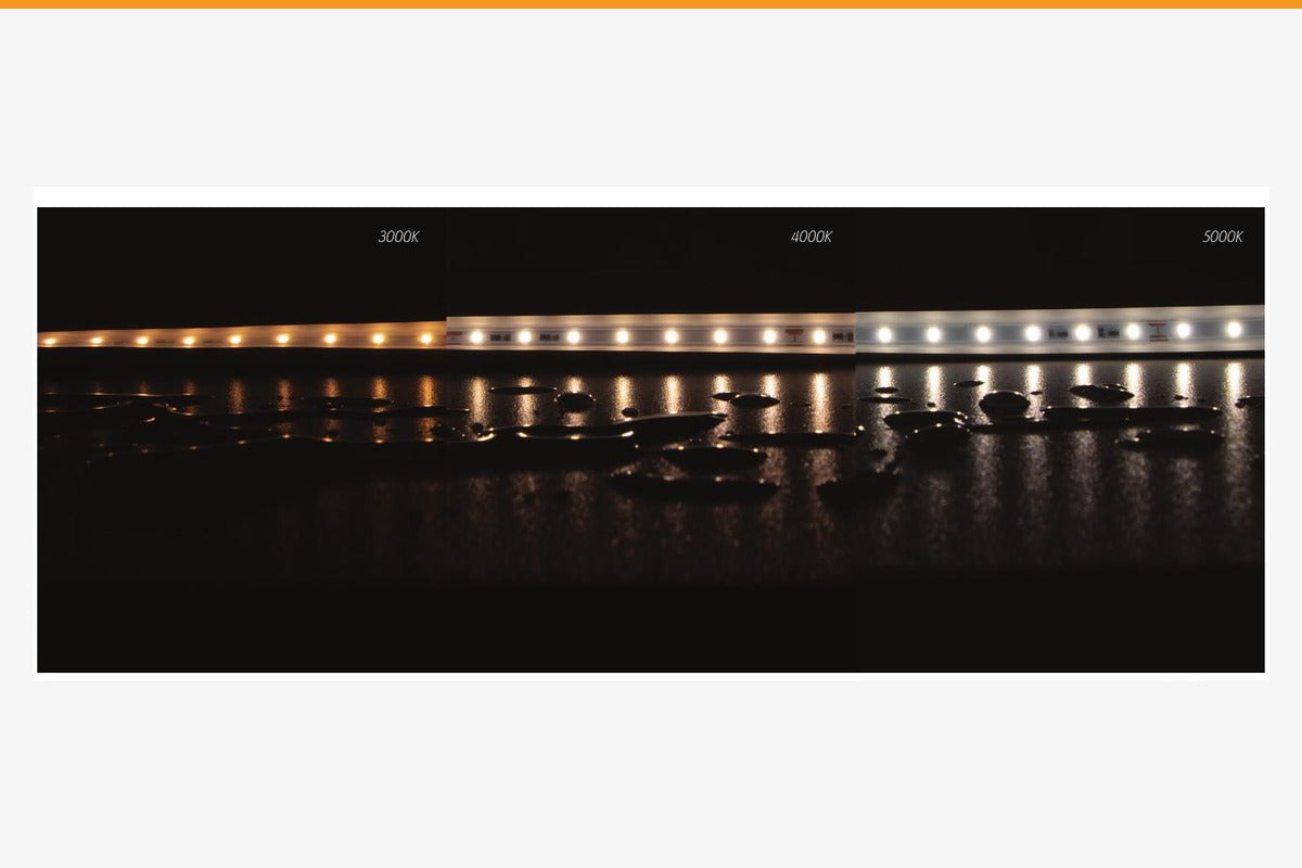 Domus PLEX LED Strip 5W/m - Long Run-Domus Lighting-Ozlighting.com.au