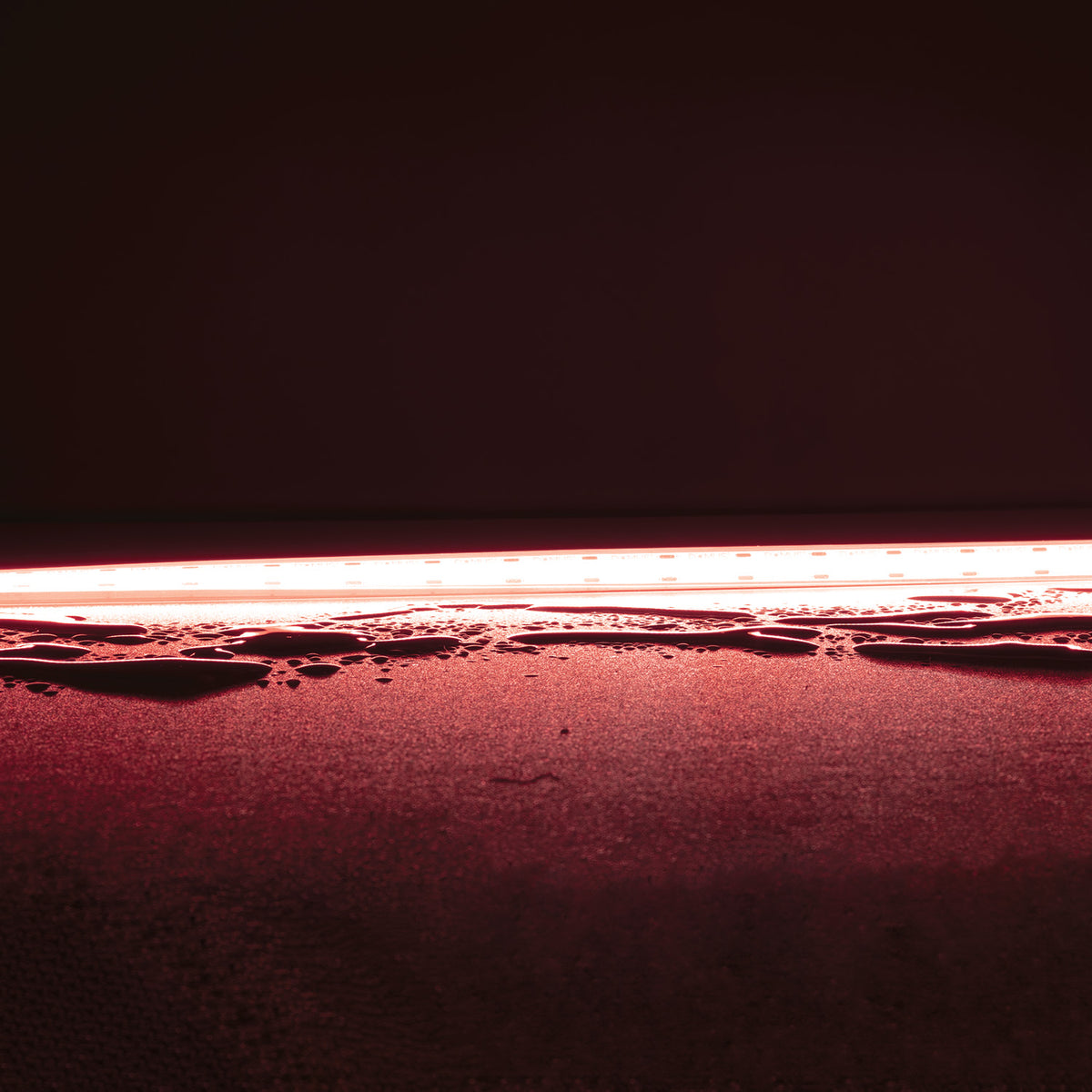 Domus PLEX-VIVID Single-Colour Dotless LED Strip 15W/m-Domus Lighting-Ozlighting.com.au