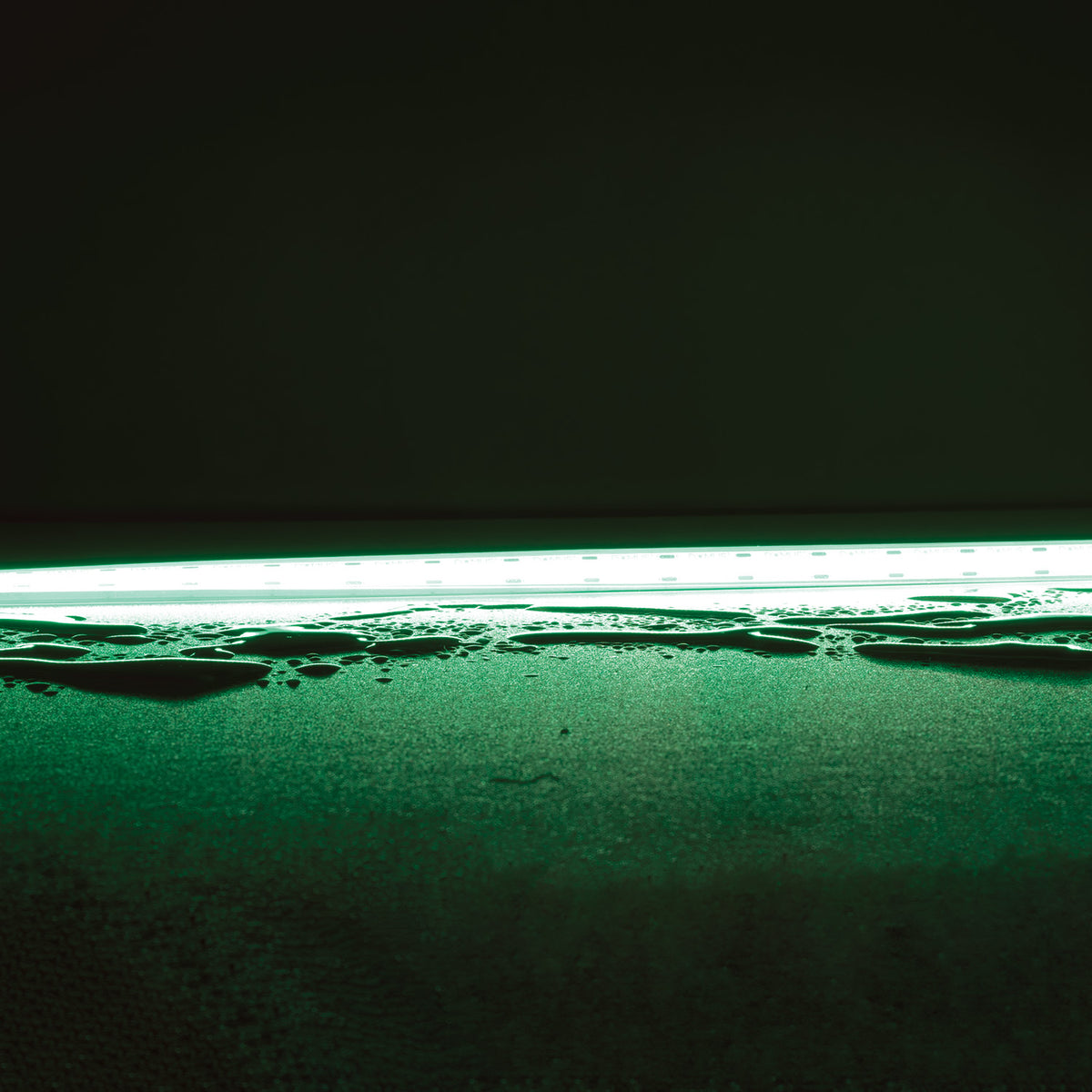 Domus PLEX-VIVID Single-Colour Dotless LED Strip 15W/m-Domus Lighting-Ozlighting.com.au