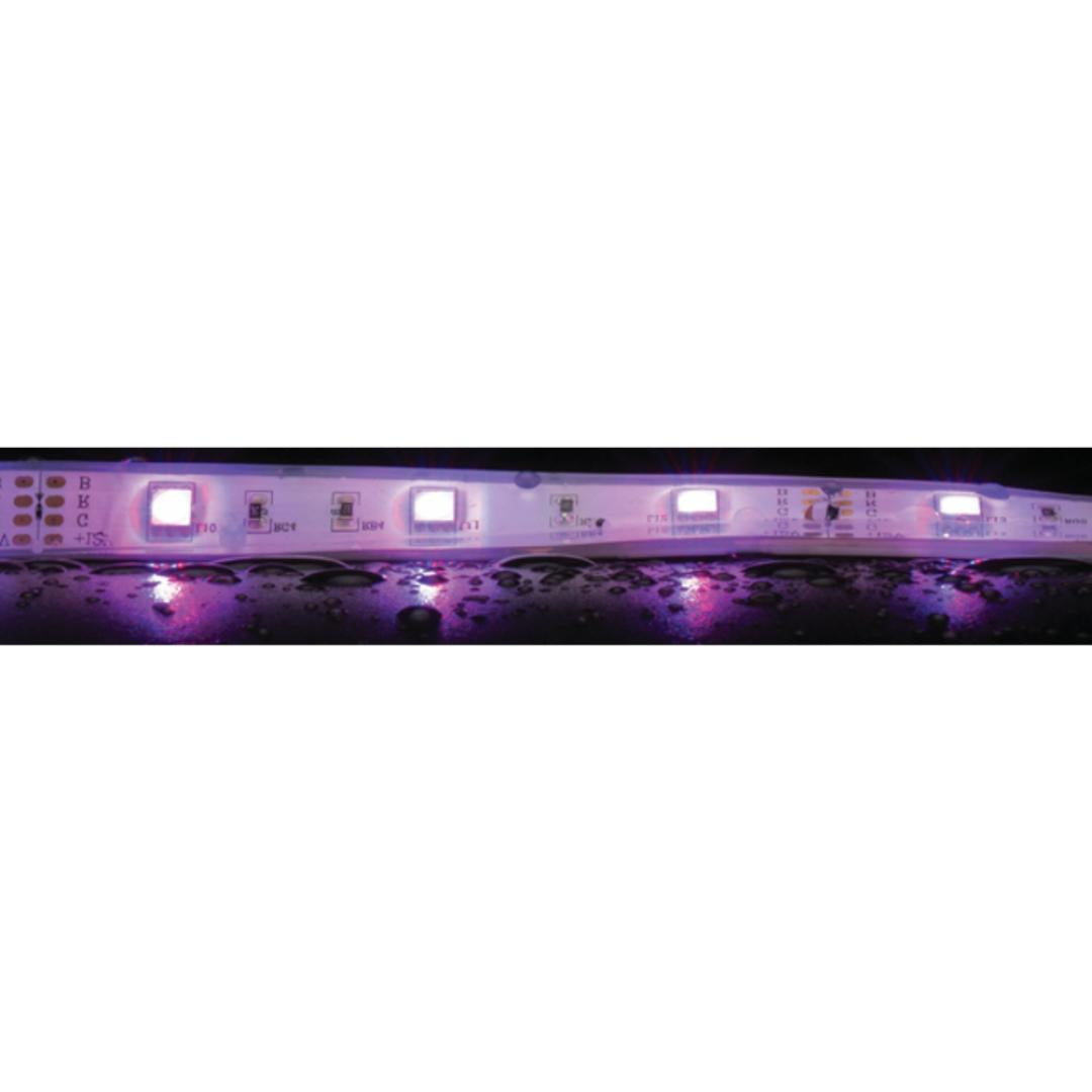 Domus Strip LED Strip 5m 7.2W-Domus Lighting-Ozlighting.com.au