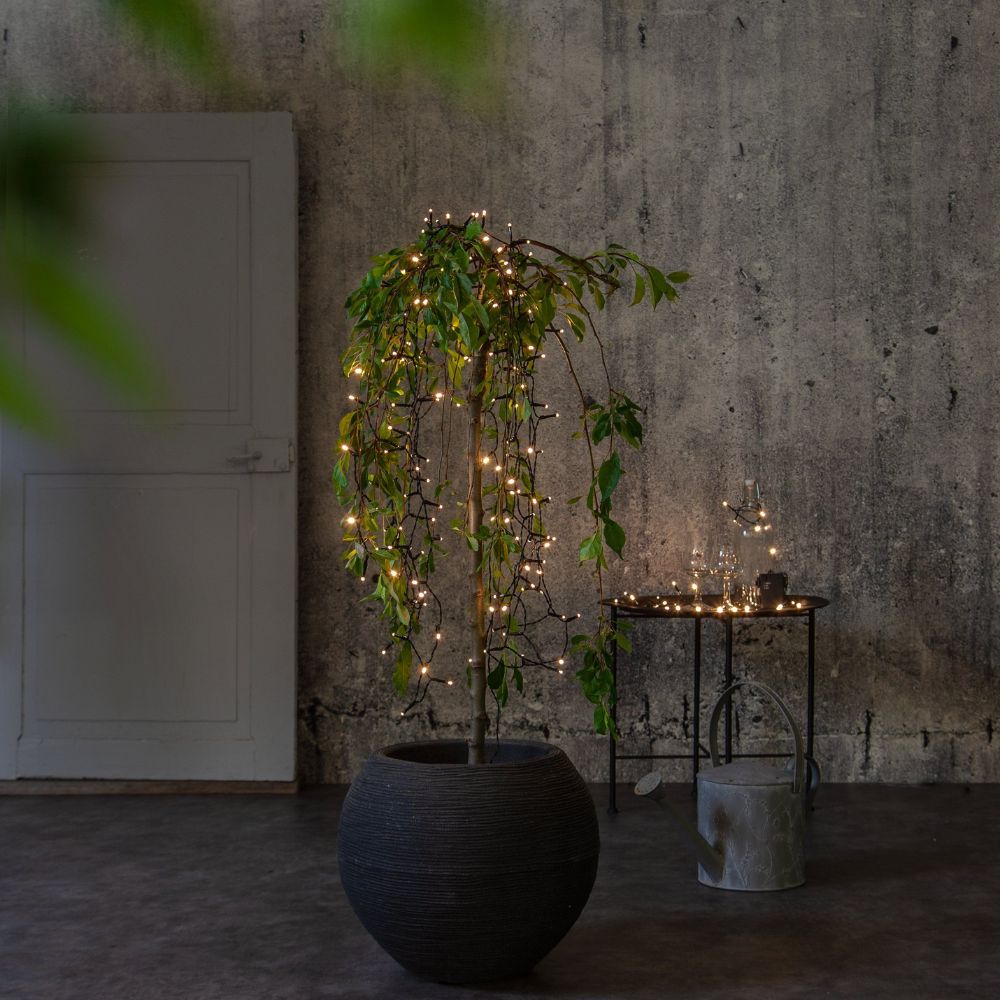 Eglo AKKU - .06W Fairy Lights-Eglo-Ozlighting.com.au