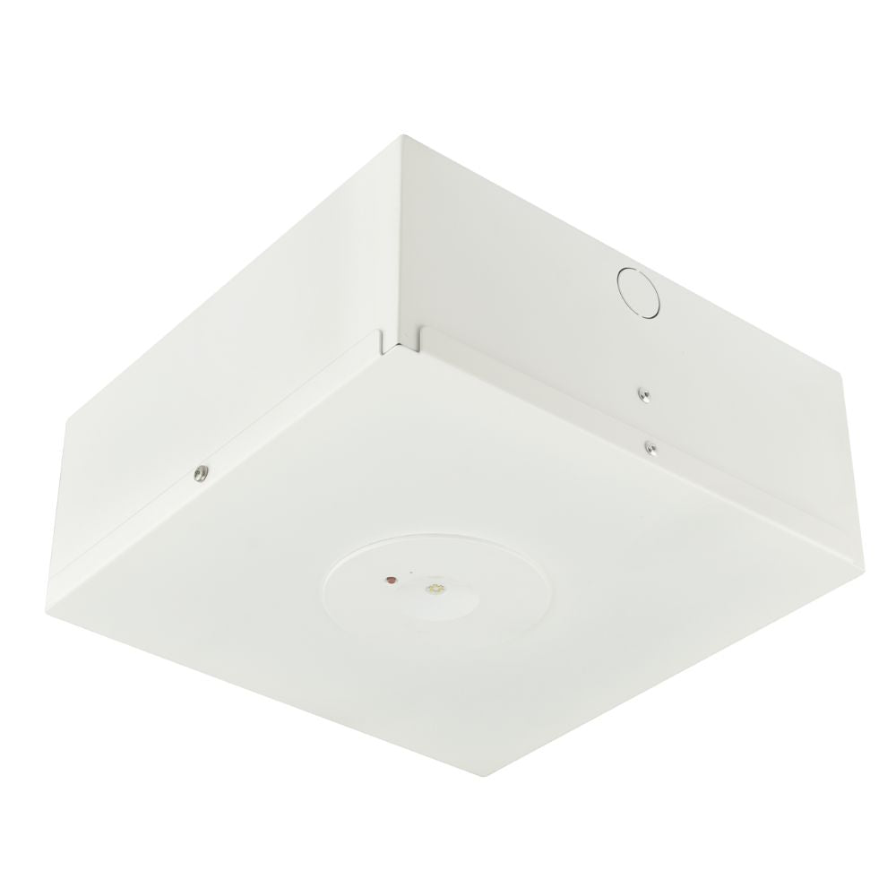 Energetic LEDWAY - Surface Mount Box Emergency Accessory-Energetic Lighting-Ozlighting.com.au