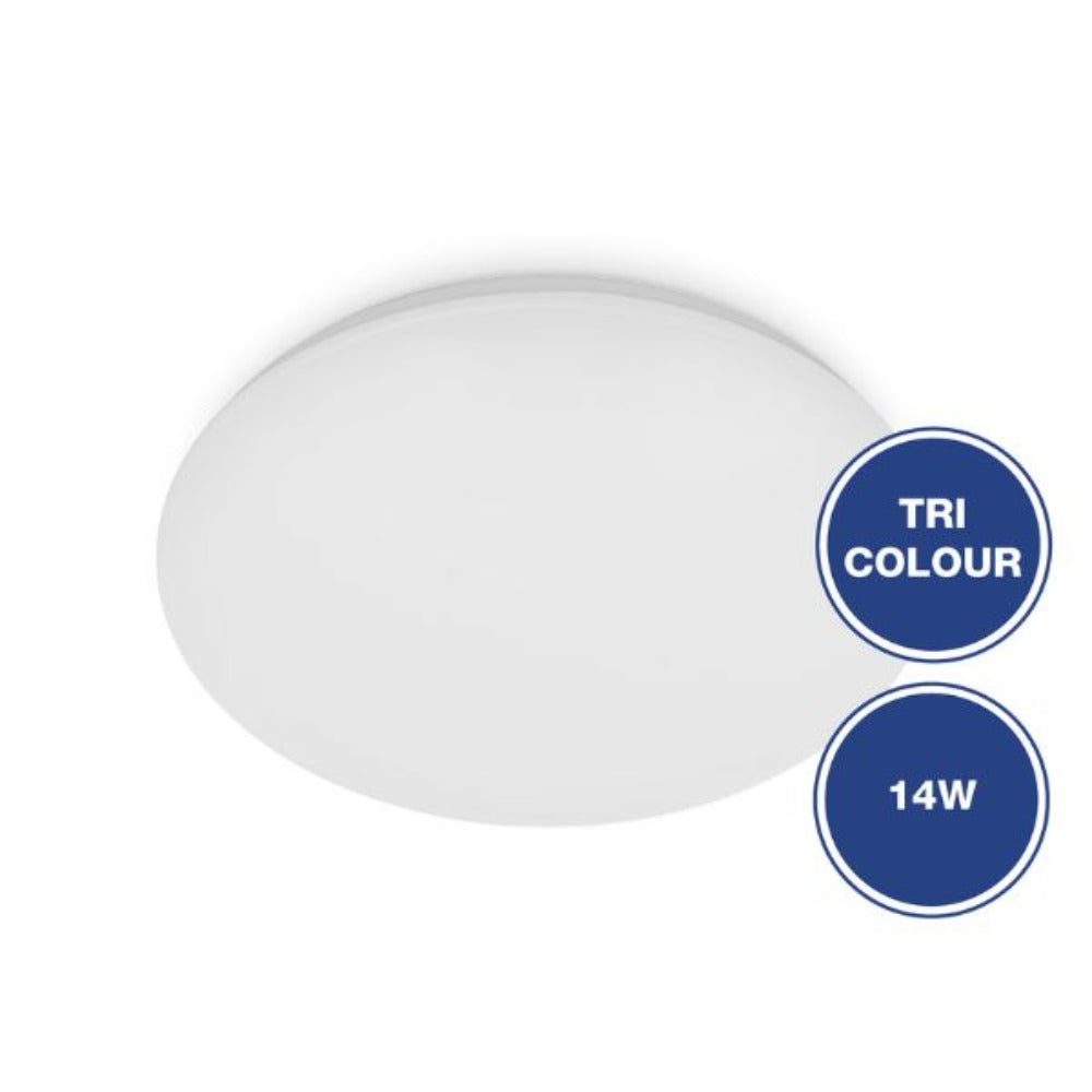 Energetic SANDY - Mini Oyster Wall & Ceiling Light-Energetic Lighting-Ozlighting.com.au