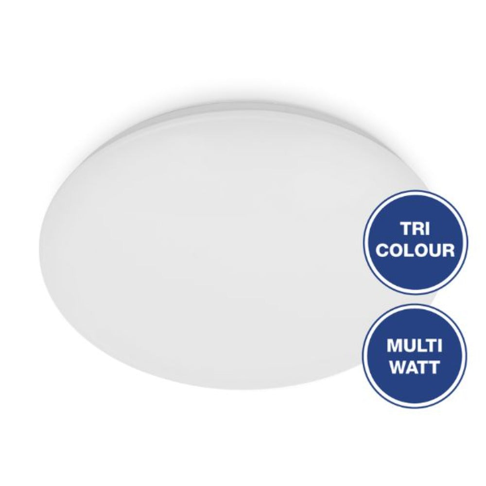 Energetic SANDY - Mini Oyster Wall & Ceiling Light-Energetic Lighting-Ozlighting.com.au
