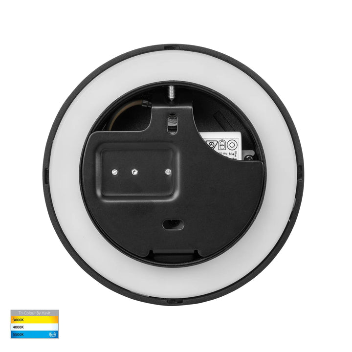 Havit LESEN - 2x3W Single Adjustable Wall Light with Back Light-Havit Lighting-Ozlighting.com.au