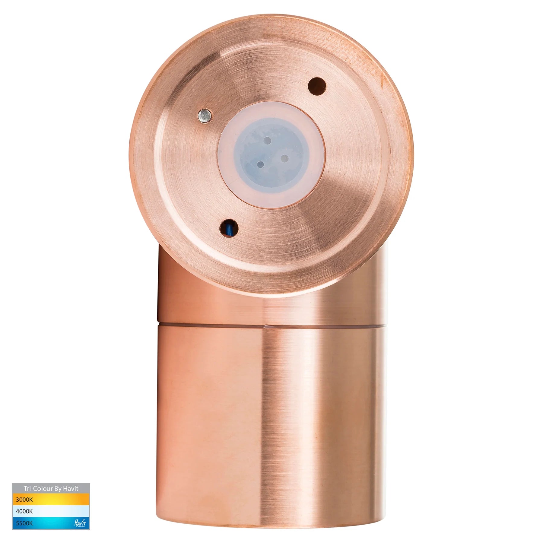 Havit TIVAH - Exterior Fixed Wall Lights 12V DC DRIVER REQUIRED-Havit Lighting-Ozlighting.com.au