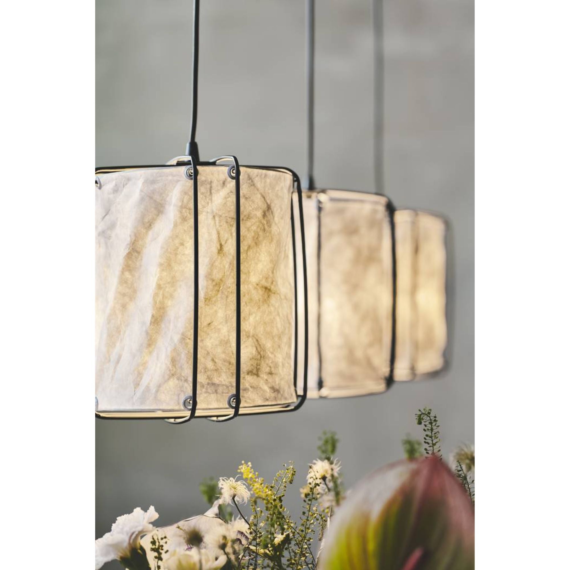 Nordlux CARDINE - 3 Light Pendant-Nordlux-Ozlighting.com.au