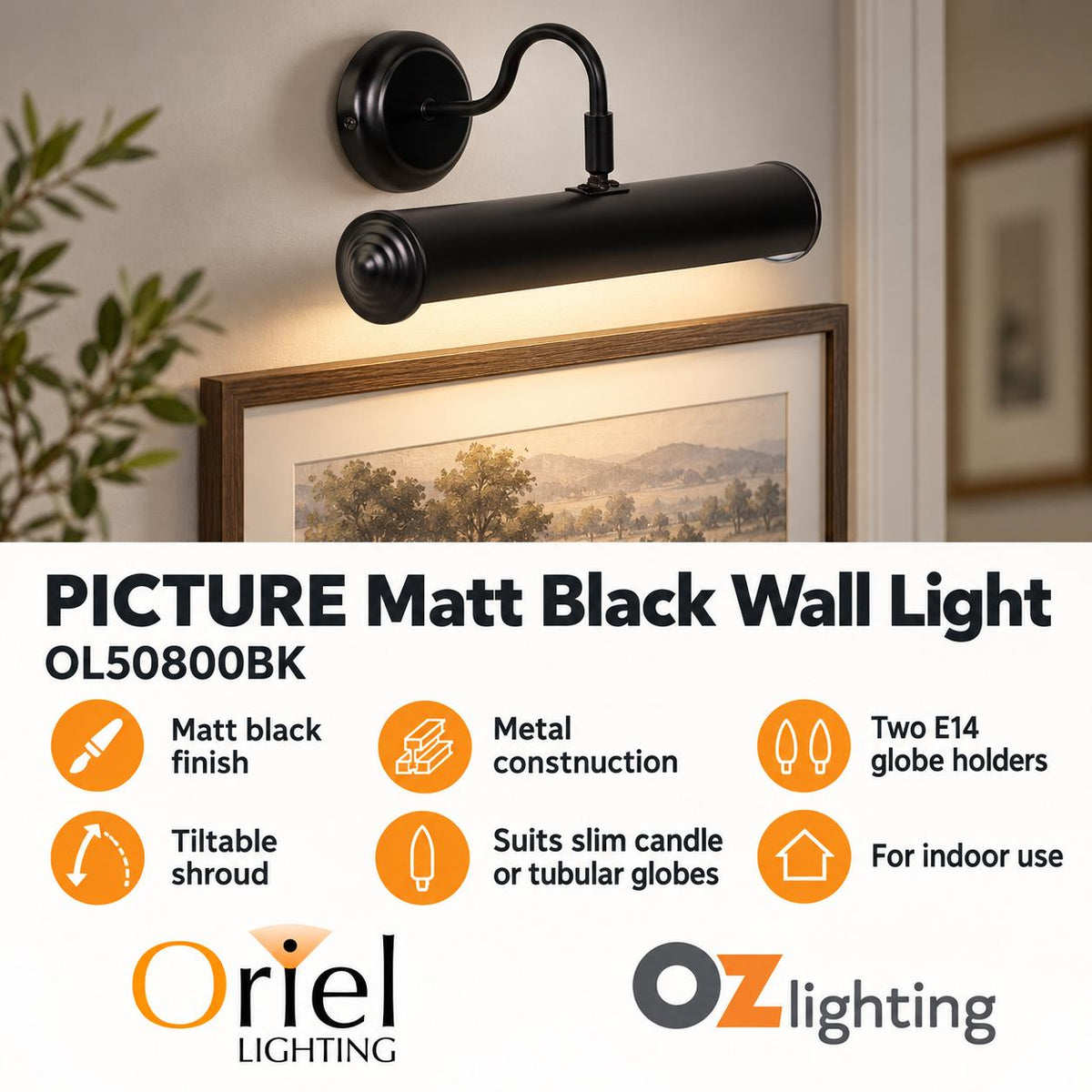 Oriel PICTURE Picture Light - 2 Light Traditional-Oriel Lighting-Ozlighting.com.au