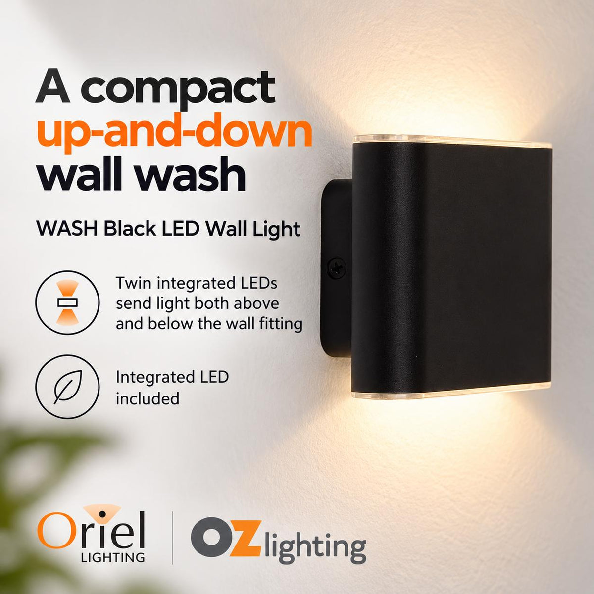 Oriel WASH LED Wall Light - 2x3W Up/Down-Oriel Lighting-Ozlighting.com.au